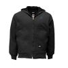 Insulated Duck Jacket Thumbnail